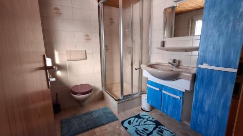 a bathroom with a shower and a sink and a toilet at Ferienhof Ziegler- Sonnenschein in Baiersbronn