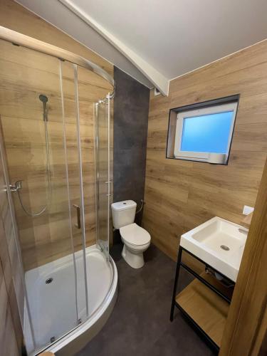 a bathroom with a toilet and a shower and a sink at Apartamenty przy Obrze in Skwierzyna