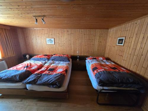 two beds in a room with wooden walls at Adli in Disentis