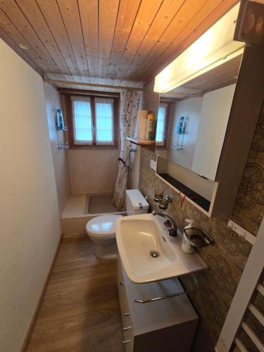 a small bathroom with a sink and a toilet at Adli in Disentis