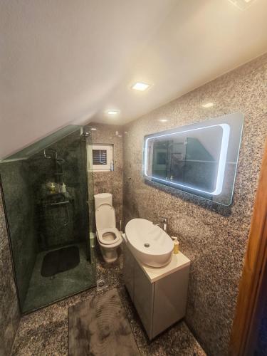a bathroom with a toilet and a sink and a shower at Apartman Antonela in Sop