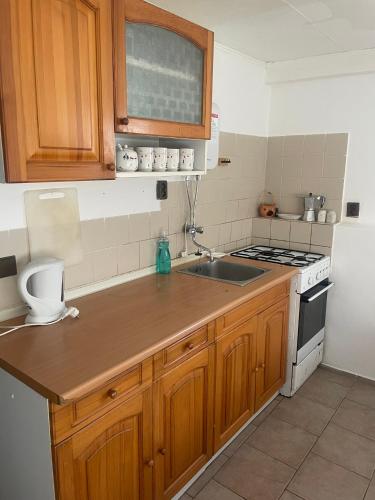 a kitchen with a sink and a stove at Chata Hella in Pernink