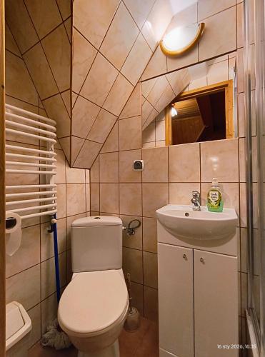 a small bathroom with a toilet and a sink at CHAŁUPA Pokoje Gościnne in Poronin