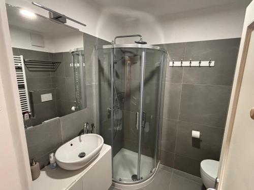 a bathroom with a shower and a sink and a toilet at Il Nido - Family Apartment con Spa & Mini Club a Cavalese in Carano