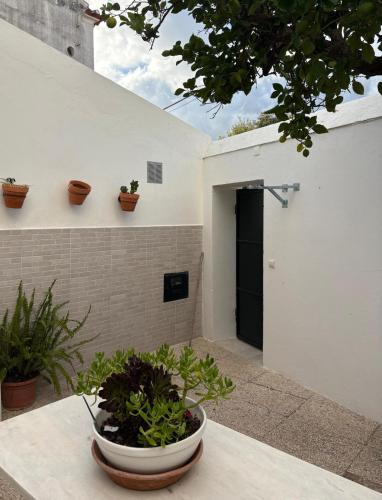 a white house with potted plants on a patio at Casa da Avó Virgínia in Elvas