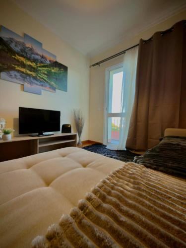 A&C Suite Garajau Ocean View