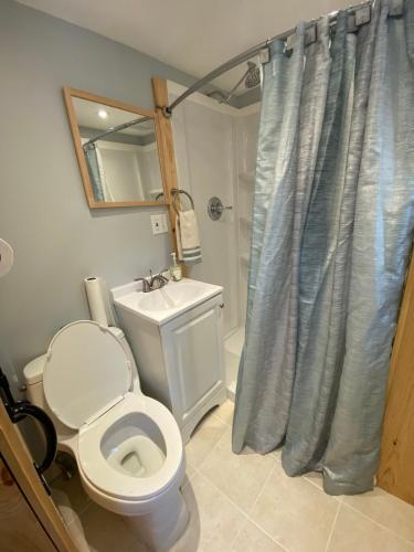 a bathroom with a toilet and a sink at Cozy stream-side cabin in Lanesborough