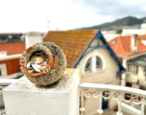Foto Casa Eugenia 6