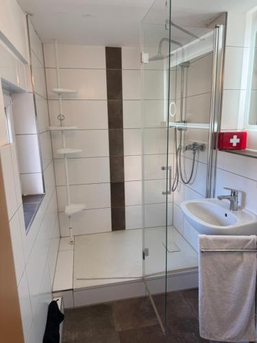 a bathroom with a sink and a glass shower at Blaureisen Gasthaus in Zschepplin