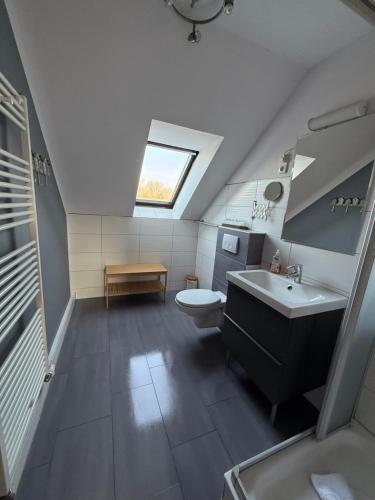 a attic bathroom with a sink and a toilet at Strandgut- die Kleine in Dranske