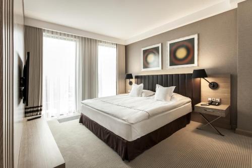 伊拉華的住宿－迪菲格蘭酒店，一间卧室设有一张大床和一个大窗户