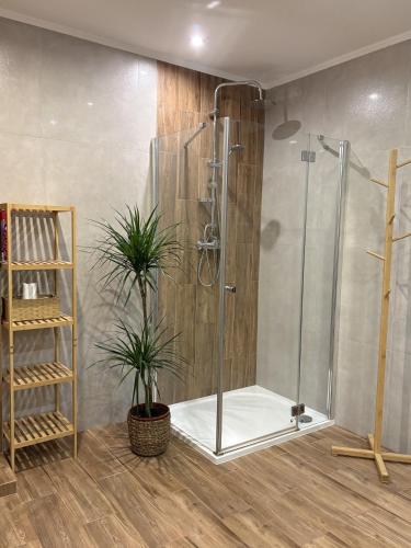 a bathroom with a shower with a plant in it at Dom pod Jaworem in Rajcza