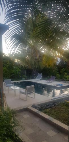 a pool with white chairs and a palm ceiling at Le Niaouli in Saint-Joseph