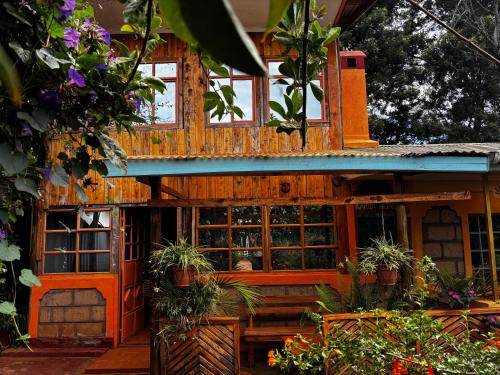 a tree house with potted plants in front of it at Ojac Guesthouse in Iten