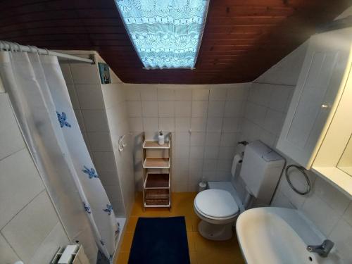 a small bathroom with a toilet and a sink at ANTICA CASA AL LAGO in Oggebbio