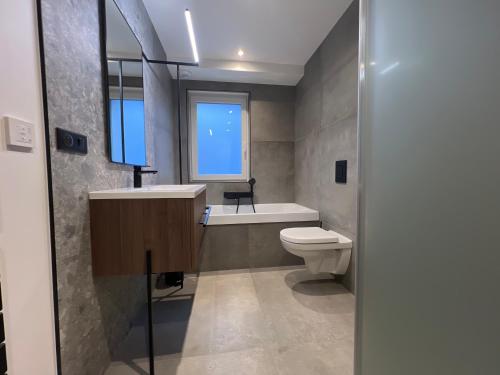 a bathroom with a toilet and a sink and a window at Maison climatisée indépendante et de plein pied in Bischoffsheim