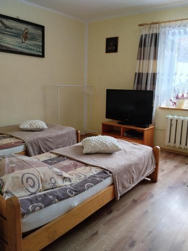 a bedroom with two beds and a flat screen tv at Zacisze Sokolec in Ludwikowice Kłodzkie