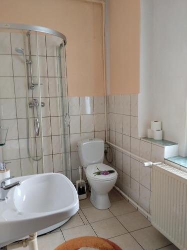 a bathroom with a toilet and a shower and a sink at Zacisze Sokolec in Ludwikowice Kłodzkie