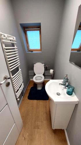 a bathroom with a toilet and a sink at Moonriver Alps Ski Apartament in Ramingstein