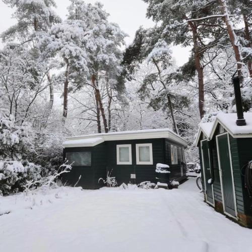 a house with snow on it in a yard with trees at Chalet De Maanvaren in Hattemerbroek