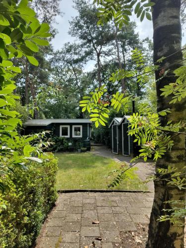 a house in the middle of a yard at Chalet De Maanvaren in Hattemerbroek
