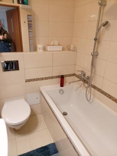 a bathroom with a toilet and a shower and a tub at E-Brechta in Warsaw