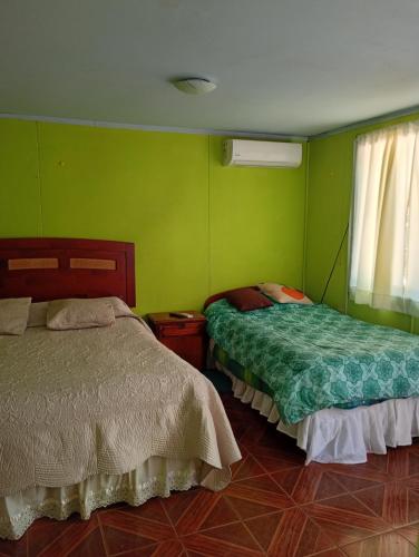 two beds in a room with green walls at Cisnes del tolten in Freire