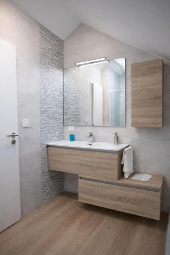a bathroom with a sink and a mirror at Modern Living in Huningue