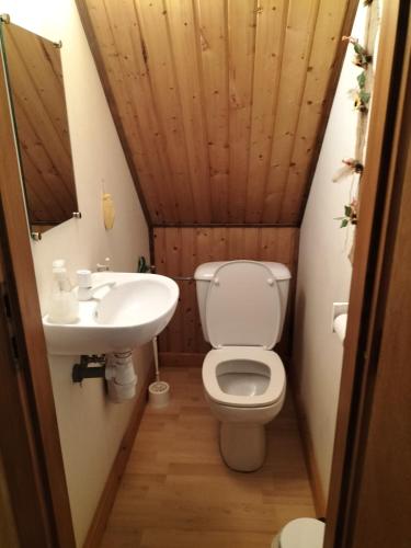 a small bathroom with a toilet and a sink at Chalet La Grange de Madi in Muhlbach-sur-Munster