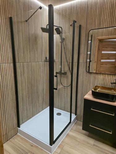 a shower with a glass door in a bathroom at Mostique Spa Apartment with Jacuzzi in Gdańsk