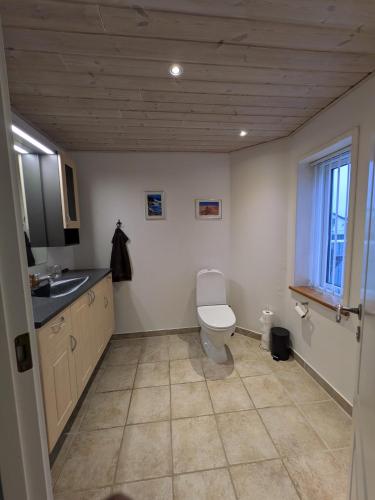 a bathroom with a toilet and a sink at Hus 5 personer in Hjørring