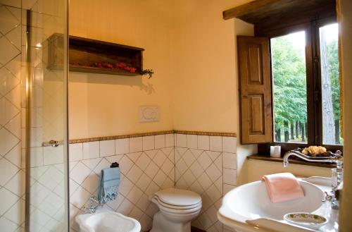 a bathroom with a toilet and a sink and a shower at La Casetta di Giovanni in Pratovecchio