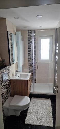 a bathroom with a toilet and a sink and a shower at Bartol in Immendingen