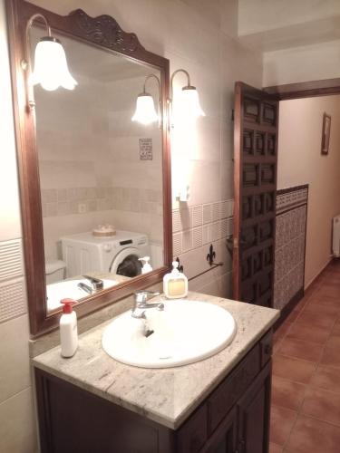 a bathroom with a sink and a large mirror at Los Tres Lobitos in Orgaz
