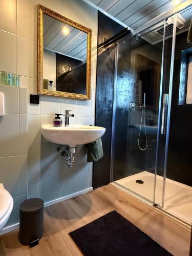 a bathroom with a sink and a shower at Apartment 18 in Kurort Oberwiesenthal