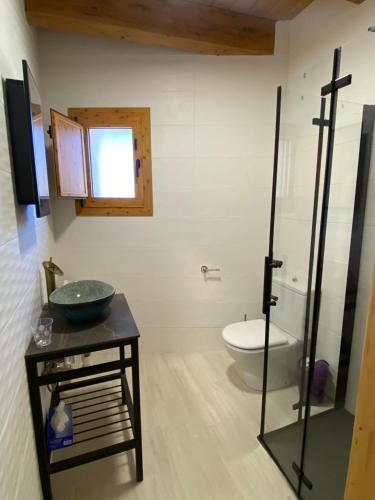 a bathroom with a sink and a toilet in it at Cal Perico in San Pedro Sallavinera