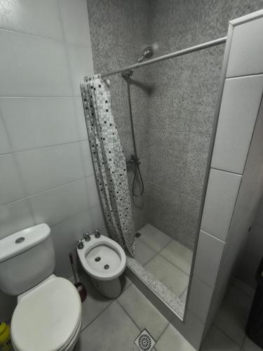 a small bathroom with a toilet and a shower at Bajo el Sauce in Ranchos