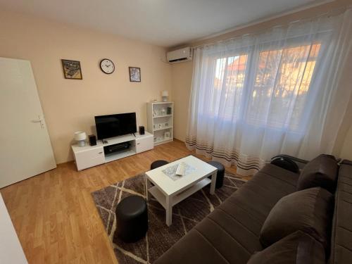a living room with a couch and a tv at Apartman Tas in Smederevo