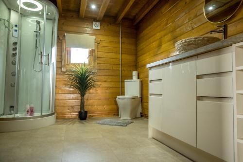 a bathroom with a shower and a toilet and a plant at Buzzards Retreat in Larling