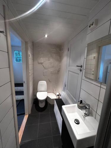 a bathroom with a white toilet and a sink at Cozy apartment in quiet neighborhood in Oslo