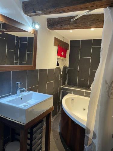 a bathroom with a sink and a bath tub at La Maison du Patou in Cadéac