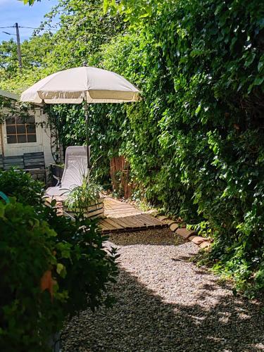 LE PETIT JARDIN ...