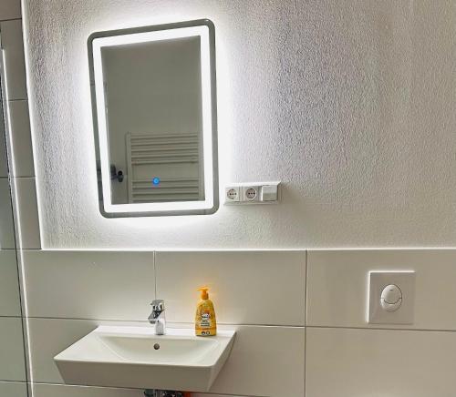 a mirror above a sink in a bathroom at Studio/Loft in Eberswalde in Eberswalde