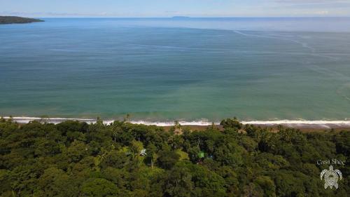 an aerial view of a beach and the ocean at Casa Shec- An Oceanfront Jungle Retreat in Drake