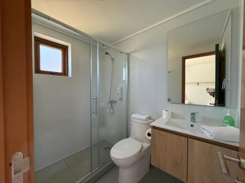 a bathroom with a toilet and a shower and a sink at Apart Hotel Sol y Lago in Pucón