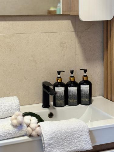a bathroom sink with two bottles of soap on it at Vila na Vrhu in Rakovac