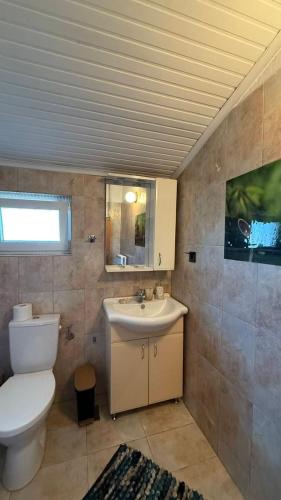 a bathroom with a toilet and a sink at Kerkini's Harmony House in Kerkini