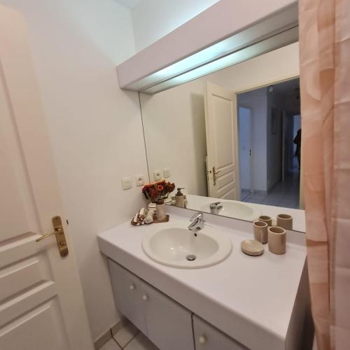 a bathroom with a sink and a large mirror at T3 spacieux hyper-centre - Familles & Pros - Genève à 5 min in Saint-Julien-en-Genevois