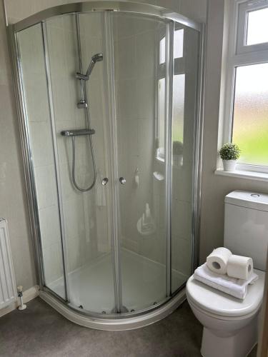 a bathroom with a shower and a toilet at Lazy Days Lodge in Malton