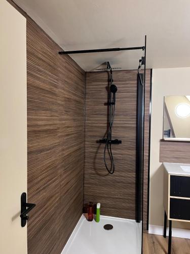 a shower in a bathroom with a wooden wall at Appartement de Charmes dans le Centre de Cherre in Cherré
